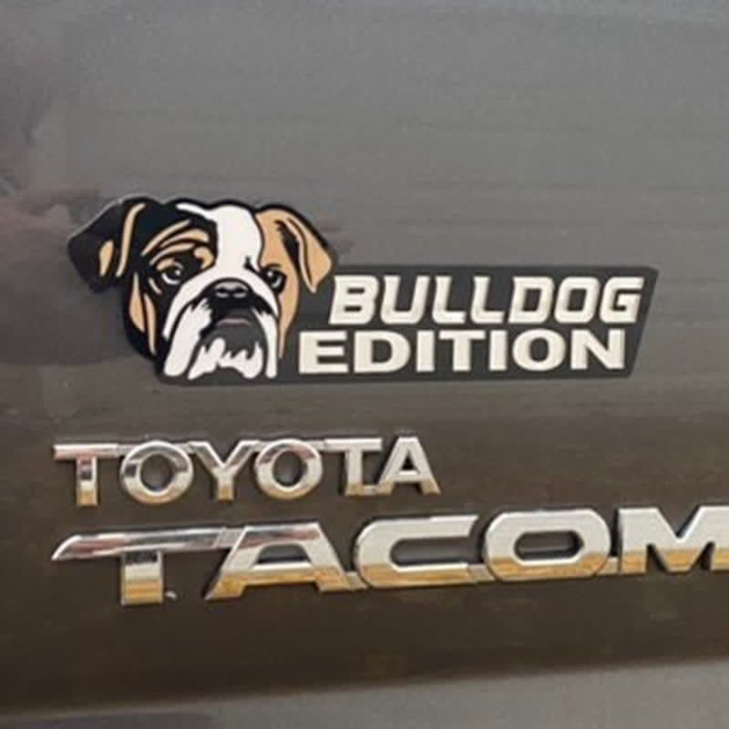 Acrylic Dog Edition For Dog Lovers Car Badge