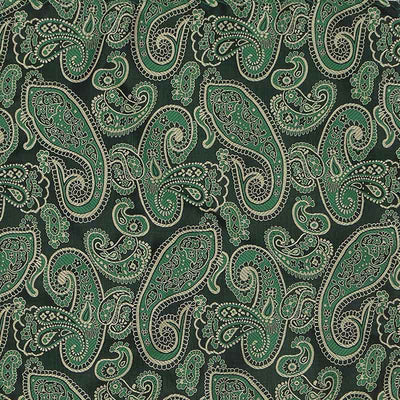 3Pcs Men's Green & Black Shade Paisley Necktie Set