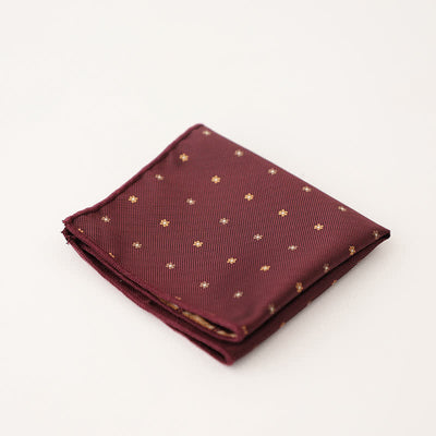 Men's Wonderful Striped Polka Dots Pocket Square