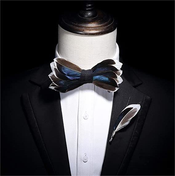 DarkBlue & Brown Graceful Feather Bow Tie with Lapel Pin