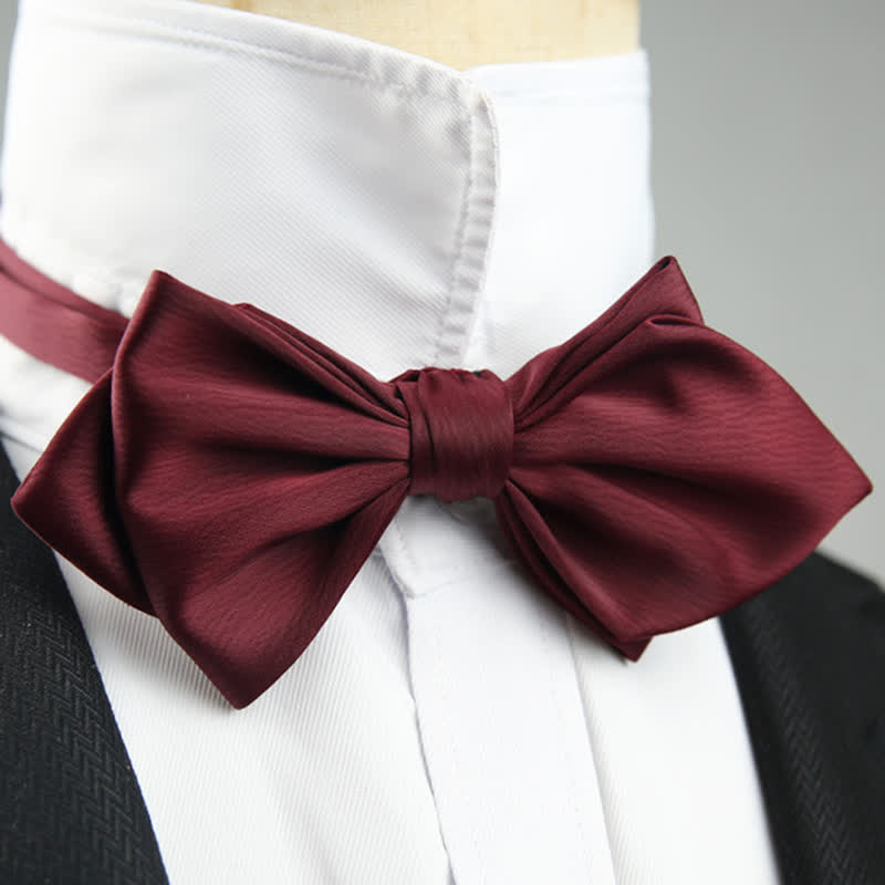 Men's Wedding Special Pointed Shape Bow Tie