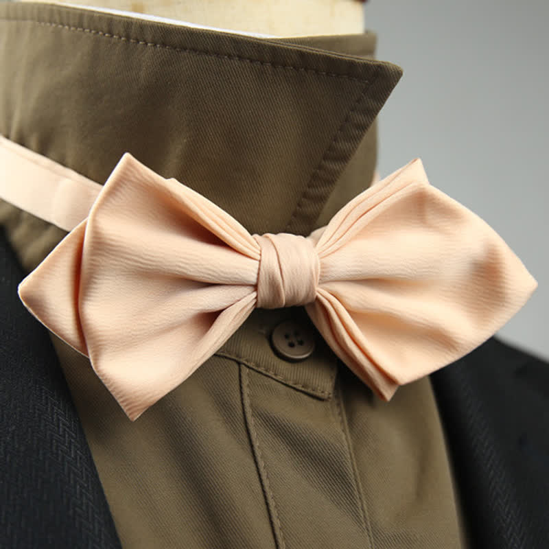 Men's Wedding Special Pointed Shape Bow Tie