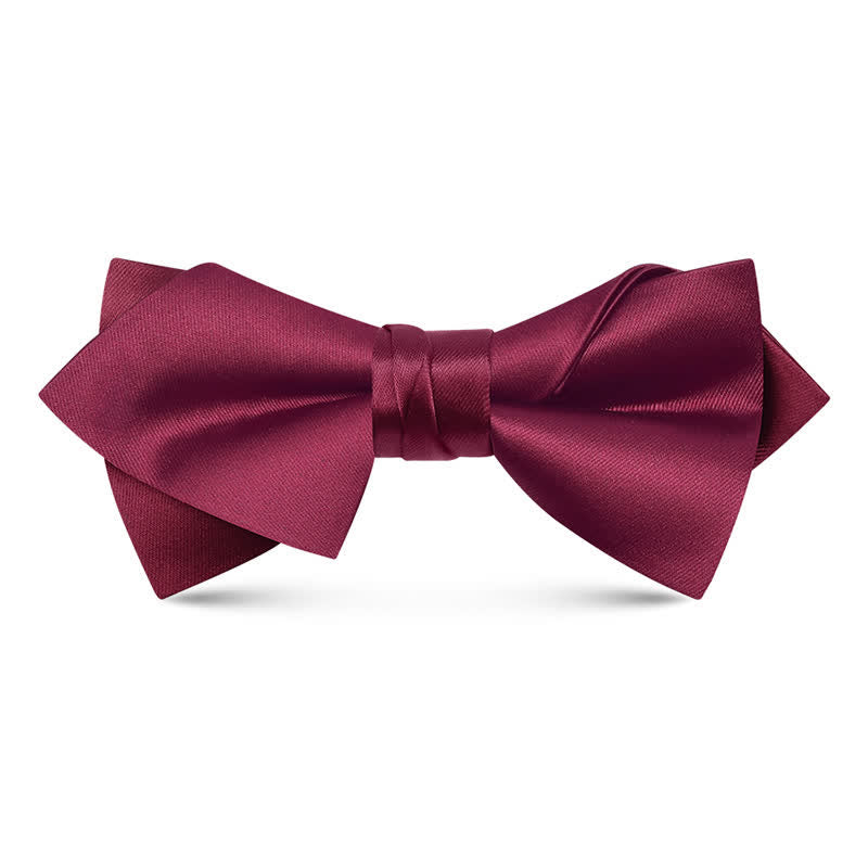 Men's Unique Irregular Double Layered Pointed Bow Tie