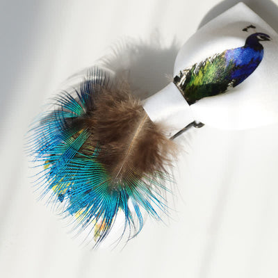 Blue & White Peacock 3D Tail Feather Bow Tie
