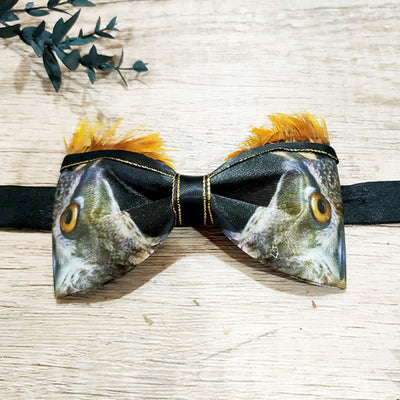 Men's Funny Owl Feather Bow Tie