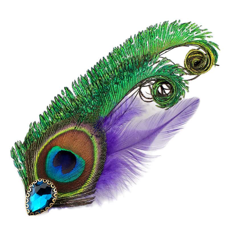 Rhinestone Peacock Eye Feather Brooch