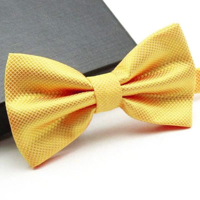 Men's Micro-checked Basic Color Bow Tie