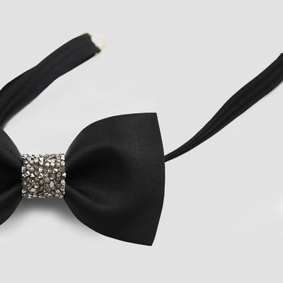 Men's Central Sparkly Accent Bow Tie