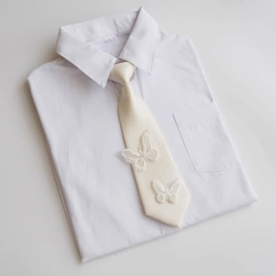 Men's Pre-Tied Leisure Style Butterfly Small Necktie