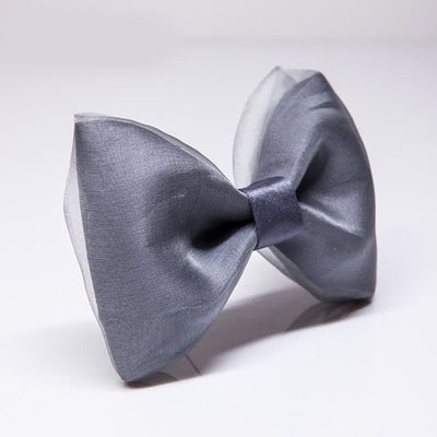 Men's Simple Gentleman Grey Organza Bow Tie